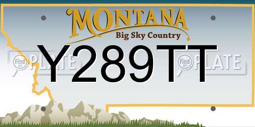 Y289TT Montana License Plate