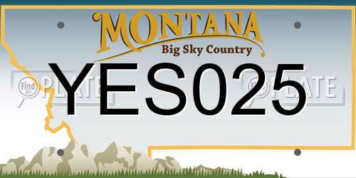 YES025 Montana License Plate