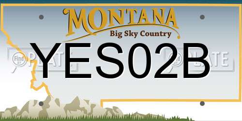 YES02B Montana License Plate