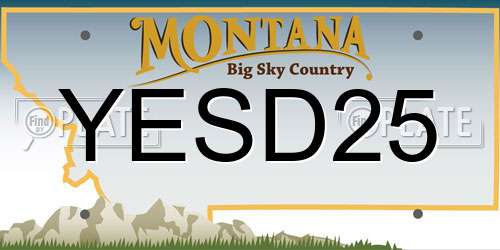 YESD25 Montana License Plate