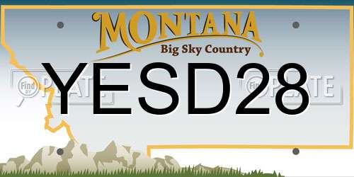 YESD28 Montana License Plate