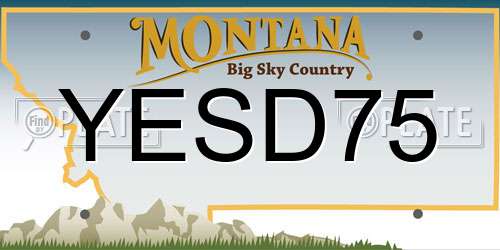 YESD75 Montana License Plate
