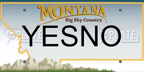 YESNO Montana License Plate