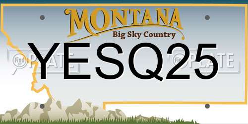 YESQ25 Montana License Plate