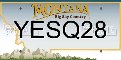 YESQ28 Montana License Plate