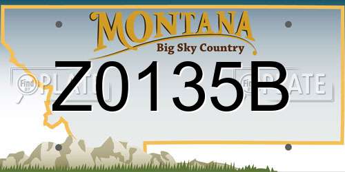 Z0135B Montana License Plate