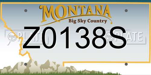 Z0138S Montana License Plate