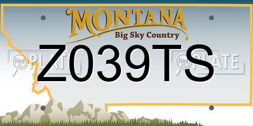 Z039TS Montana License Plate