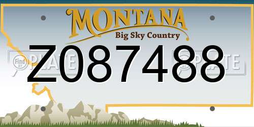 Z087488 Montana License Plate