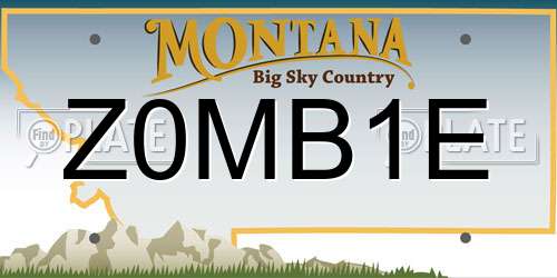 Z0MB1E Montana License Plate
