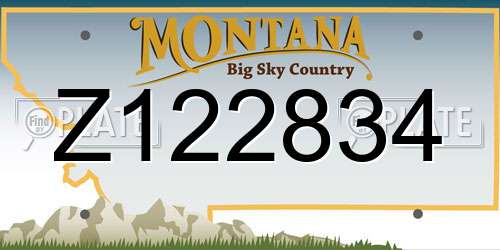 Z122834 Montana License Plate