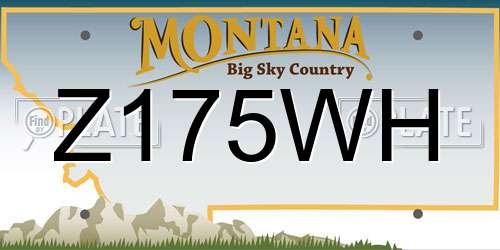 Z175WH Montana License Plate