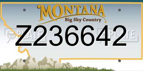 Z236642 Montana License Plate