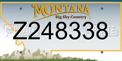 Z248338 Montana License Plate