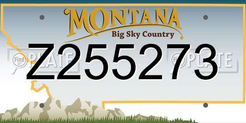 Z255273 Montana License Plate