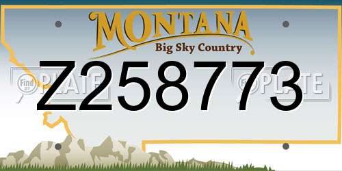 Z258773 Montana License Plate