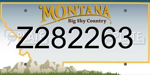Z282263 Montana License Plate