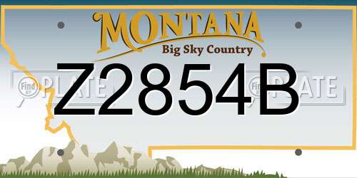 Z2854B Montana License Plate