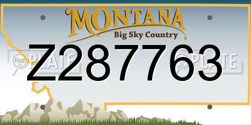 Z287763 Montana License Plate