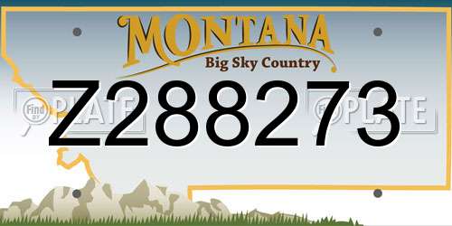 Z288273 Montana License Plate