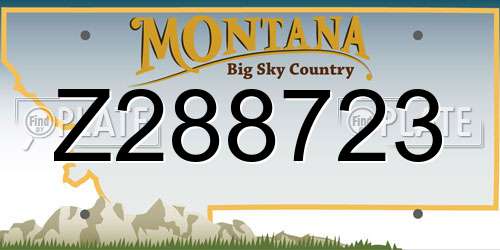 Z288723 Montana License Plate