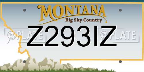 Z293IZ Montana License Plate