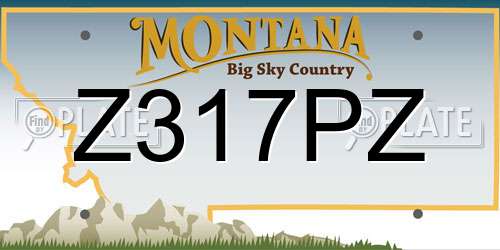 Z317PZ Montana License Plate