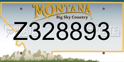 Z328893 Montana License Plate