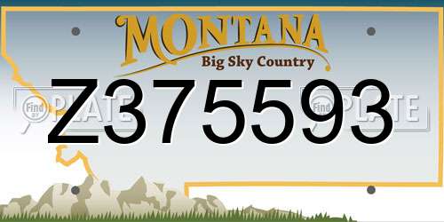 Z375593 Montana License Plate
