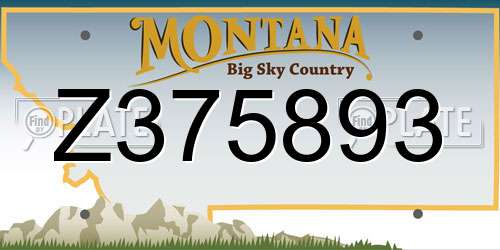 Z375893 Montana License Plate