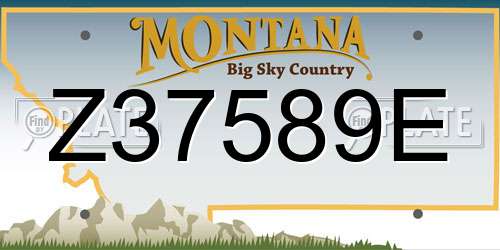Z37589E Montana License Plate