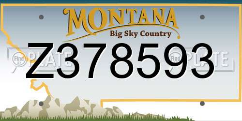 Z378593 Montana License Plate