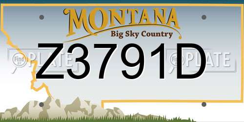 Z3791D Montana License Plate