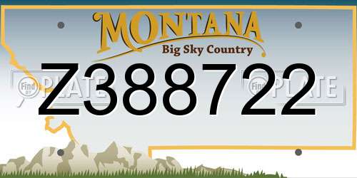 Z388722 Montana License Plate