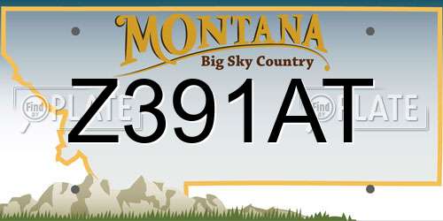 Z391AT Montana License Plate