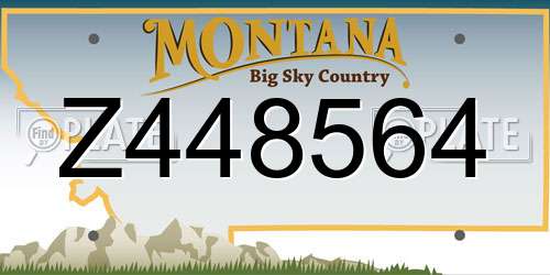 Z448564 Montana License Plate
