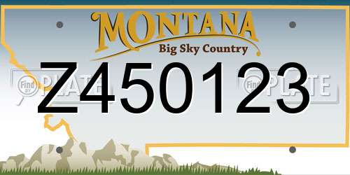 Z450123 Montana License Plate