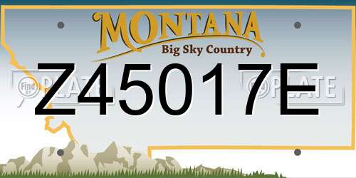 Z45017E Montana License Plate