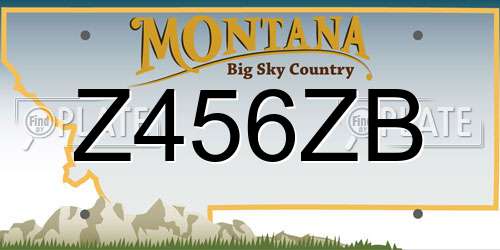 Z456ZB Montana License Plate