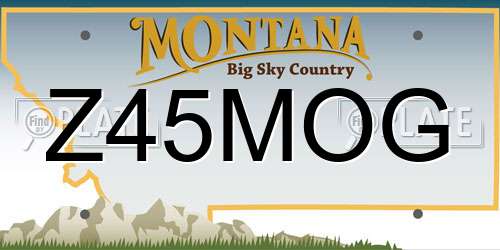 Z45MOG Montana License Plate