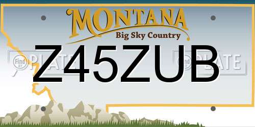 Z45ZUB Montana License Plate