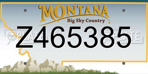 Z465385 Montana License Plate