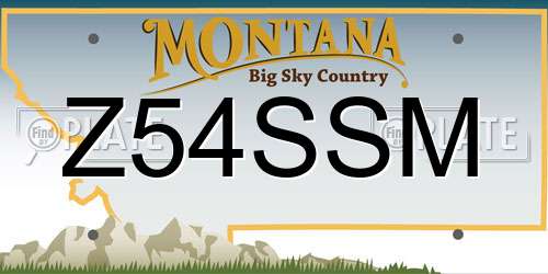 Z54SSM Montana License Plate