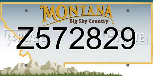 Z572829 Montana License Plate