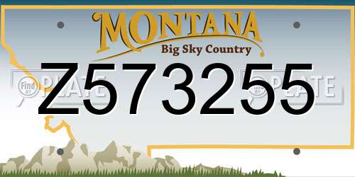 Z573255 Montana License Plate