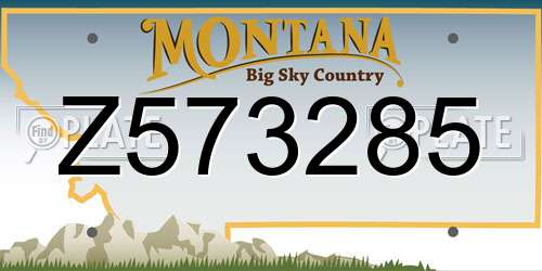 Z573285 Montana License Plate