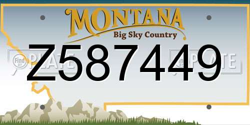 Z587449 Montana License Plate