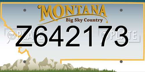 Z642173 Montana License Plate