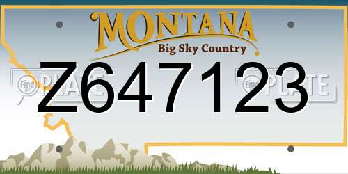 Z647123 Montana License Plate