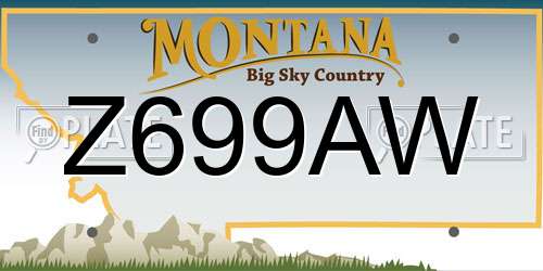Z699AW Montana License Plate